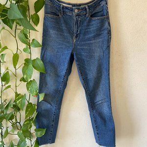 Anthropologie Pilcro High Rise Denim Skinny Jeans